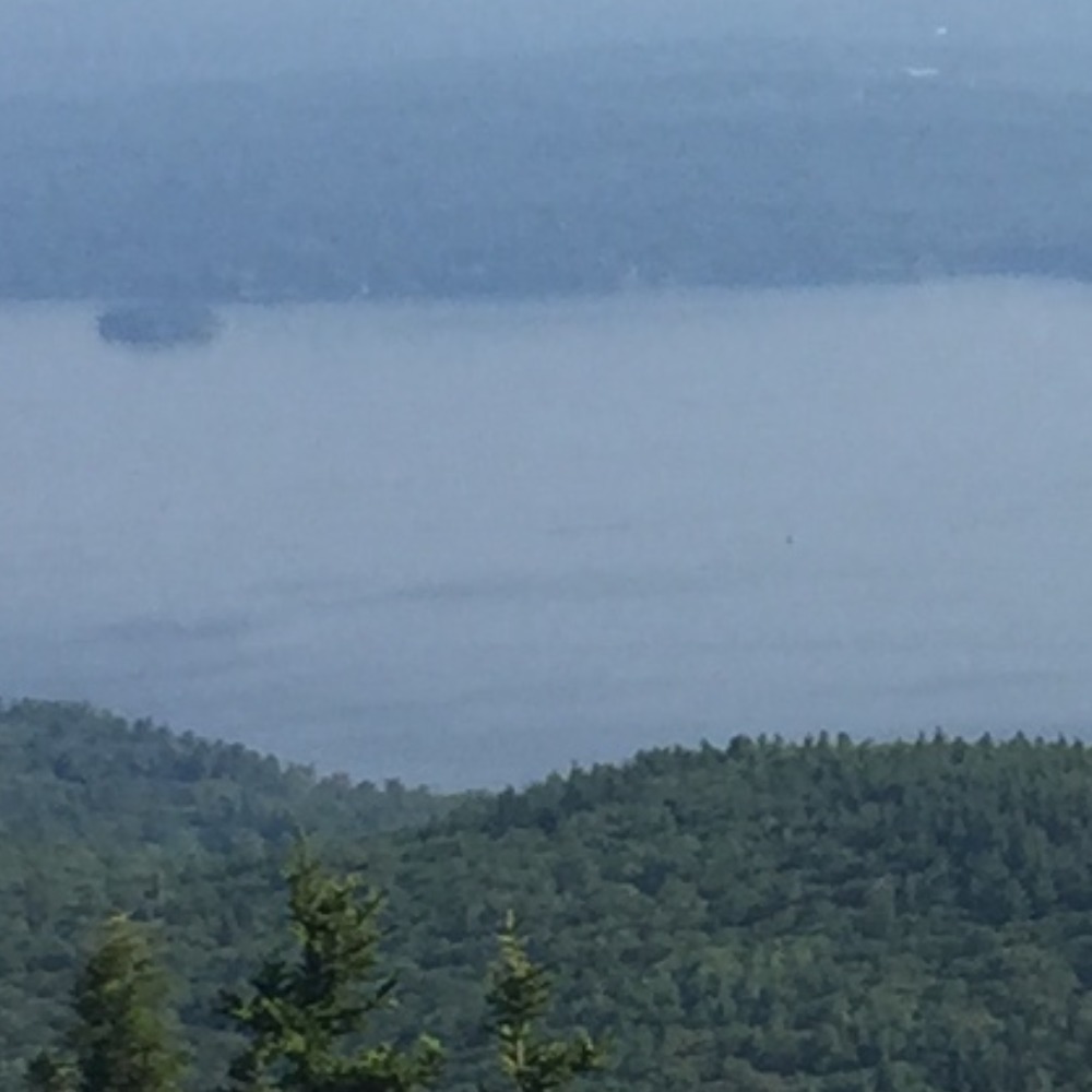 Meet your Posher, Beck